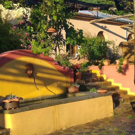 Podere Di Maggio - Glamping Tent 3 Santa Fiora Exterior photo
